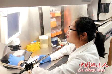 Zhe Zhang��ʿ.png