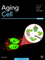 Aging Cell.png
